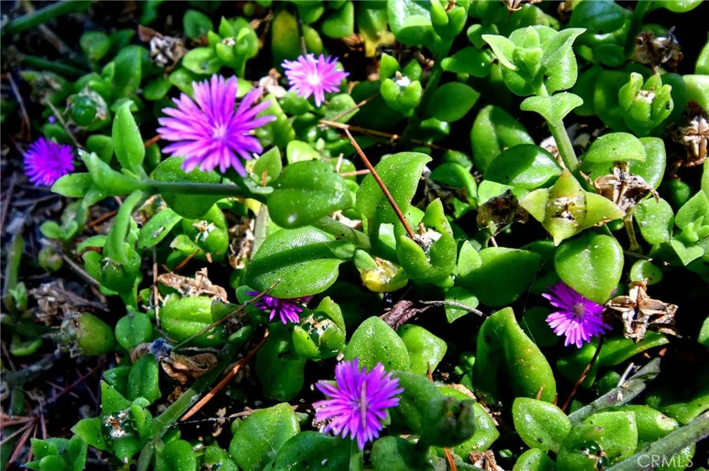 Culver City, California 90232, United States, 4 Bedrooms Bedrooms, ,4 BathroomsBathrooms,Residential,Active,181225