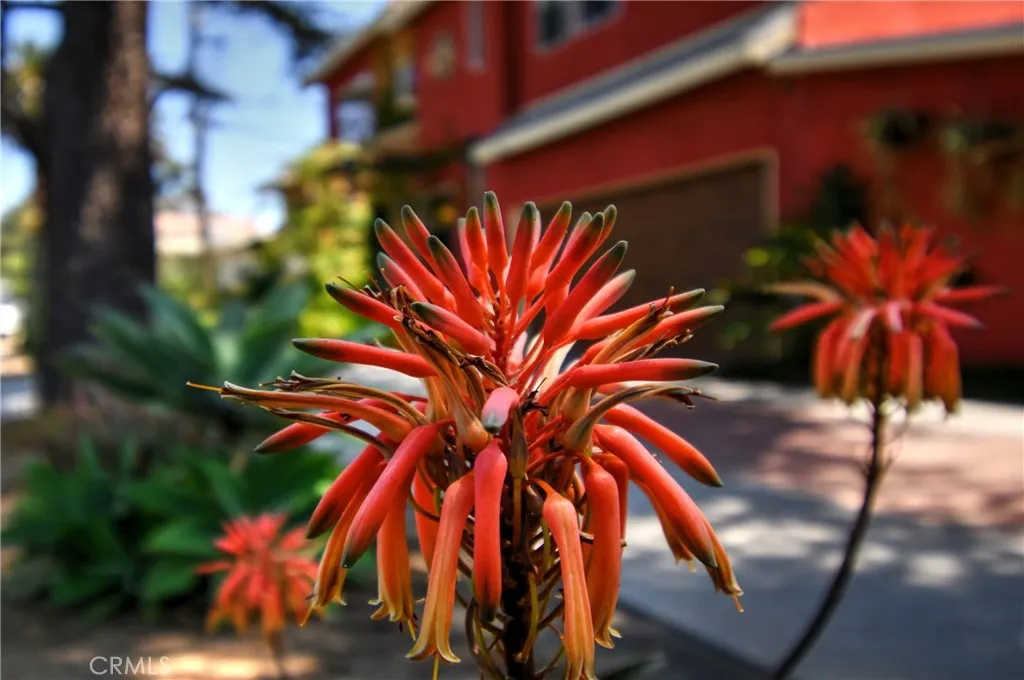 Culver City, California 90232, United States, 4 Bedrooms Bedrooms, ,4 BathroomsBathrooms,Residential,Active,181225