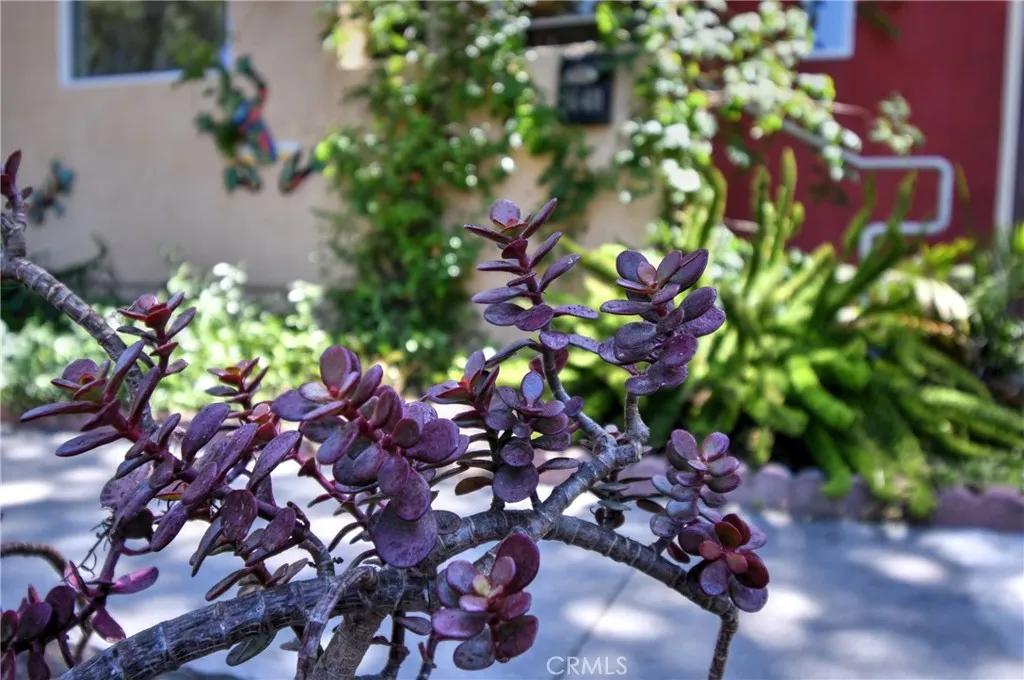 Culver City, California 90232, United States, 4 Bedrooms Bedrooms, ,4 BathroomsBathrooms,Residential,Active,181225