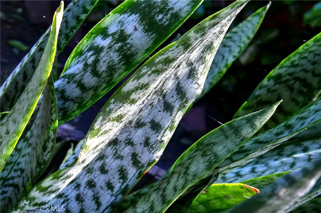 Culver City, California 90232, United States, 4 Bedrooms Bedrooms, ,4 BathroomsBathrooms,Residential,Active,181225