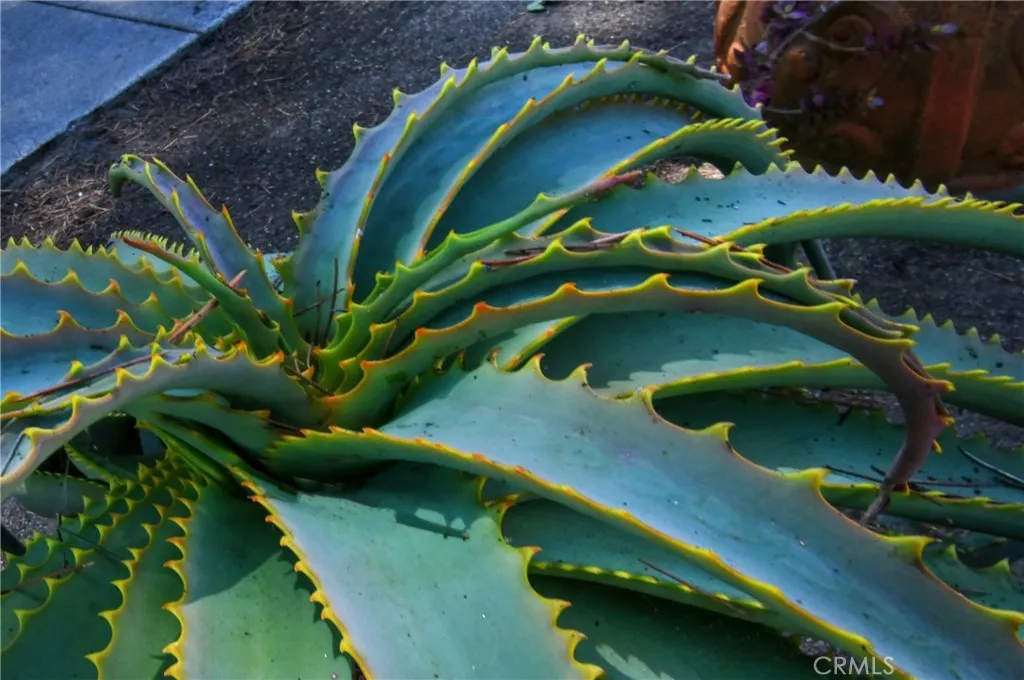 Culver City, California 90232, United States, 4 Bedrooms Bedrooms, ,4 BathroomsBathrooms,Residential,Active,181225