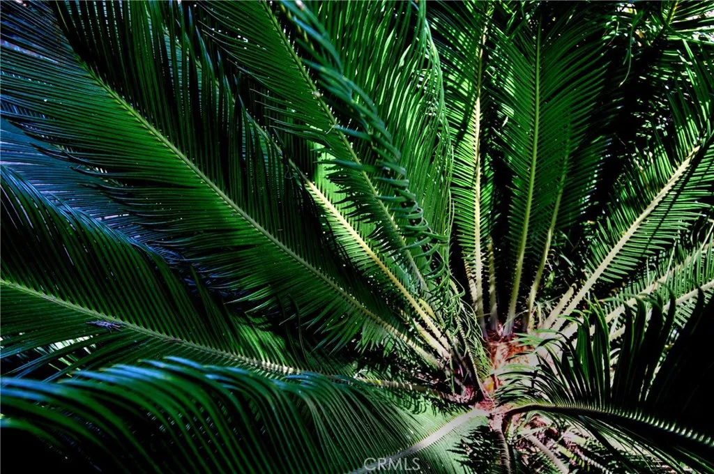 Culver City, California 90232, United States, 4 Bedrooms Bedrooms, ,4 BathroomsBathrooms,Residential,Active,181225