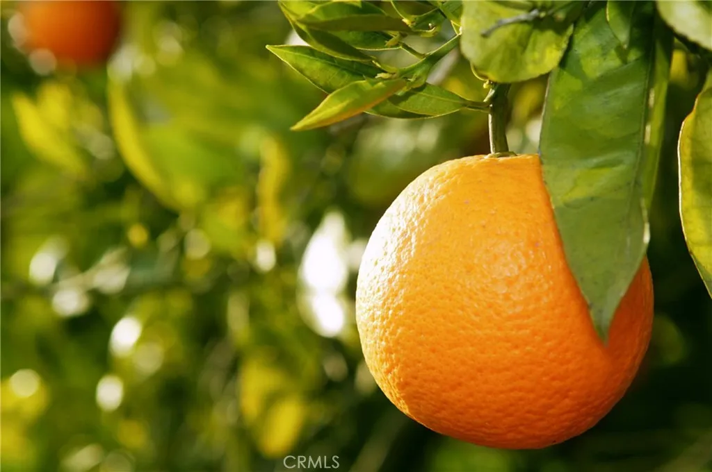 Culver City, California 90232, United States, 4 Bedrooms Bedrooms, ,4 BathroomsBathrooms,Residential,Active,181225