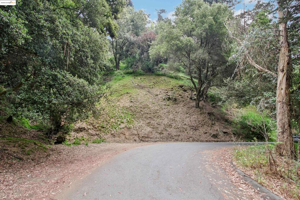 Fantastic parcel in Piedmont Pines! This upslope lot on Girvin Dr is your blank canvas! Nestled in beautiful woods, up the hill you will find fantastic views of Oakland, SF, and the Bay!