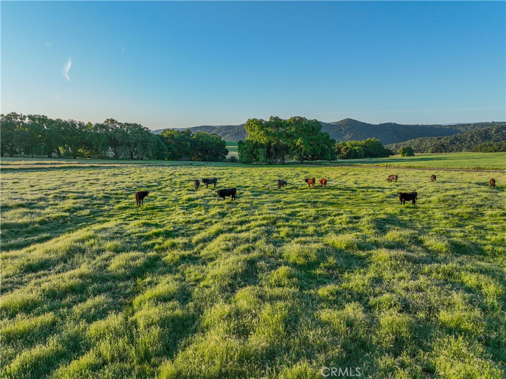 PR Rural West(250) - Residential