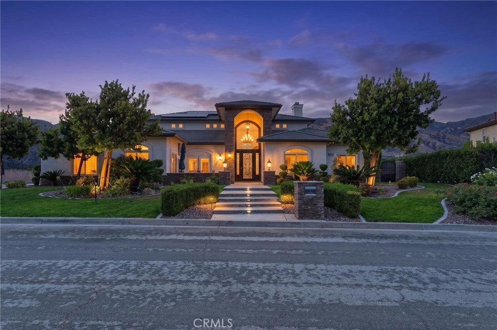 34830 Olive Tree