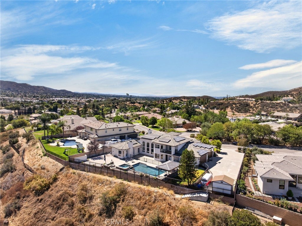 34830 Olive Tree