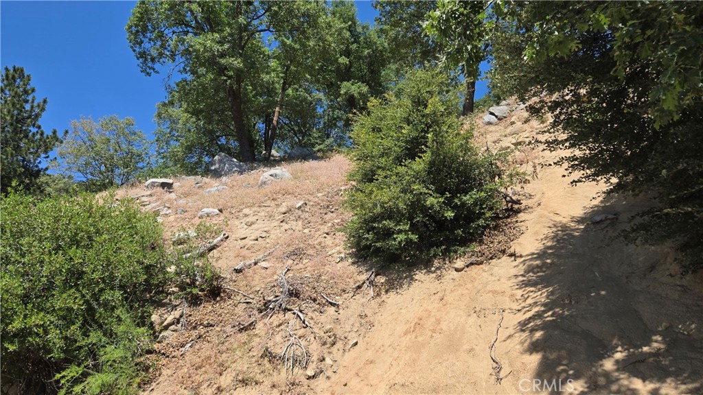 Own a beautiful part of the forest in the Lake Gregory area of the San Bernardino Mountains. This one is located right on Edelweiss Drive, just a short distance up from the lake itself, and a 5-minute drive to Godwin's Market and the Lake Gregory recreation area. The road is paved and well-maintained, and utilities are nearby, as there are homes one lot up the road and also behind the property on Darfo and Delle. Any buyer should verify the availability of utilities and the cost of hooking up with the relevant governing bodies. There is a significant bluff at the street, but then the lot does flatten out. Anyone building here would have tremendous views of the surrounding mountains and valleys when they were done. The owner will consider financing on a Note and Deed of Trust or on a Land Contract of Sale with very favorable terms. Call for details. The county has not yet assigned an address to this property. Use these coordinates to locate the property: Latitude: 34.250631 / Longitude: -117.265691. That will put you exactly on the southwest corner of the property.