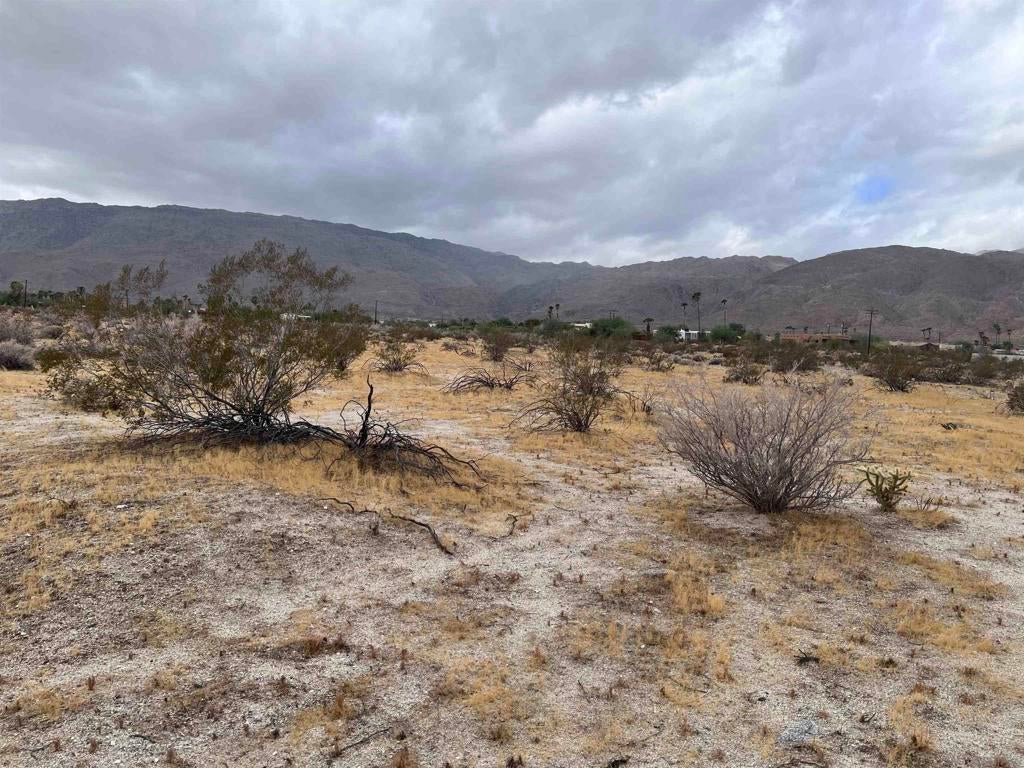 213 Borrego Springs Rd