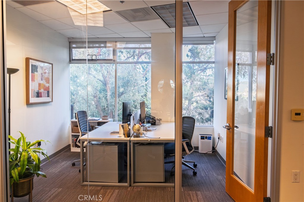 32451 Golden Lantern