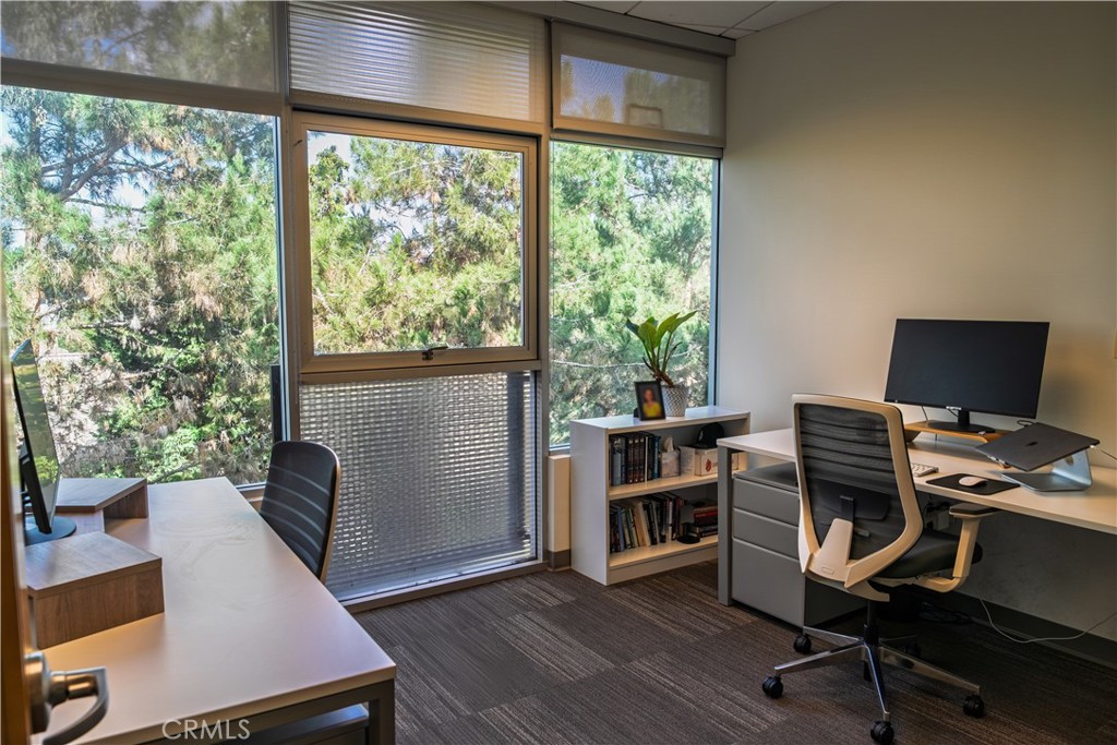 32451 Golden Lantern