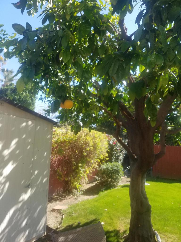 Not Applicable-1 - Residential