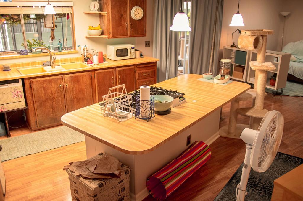 SUNNYVALE - Manufactured In Park