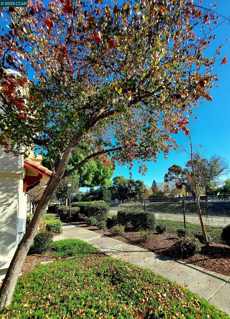 VERONA HACIENDA - Residential