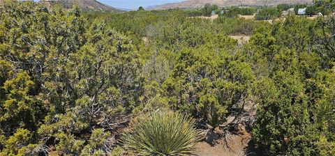 Photo of 0 Easy Street, Acton, CA 93510 (MLS # SR26029795)