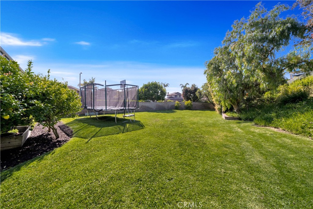 Bear Brand - JM Peters (BJP) - Residential Lease