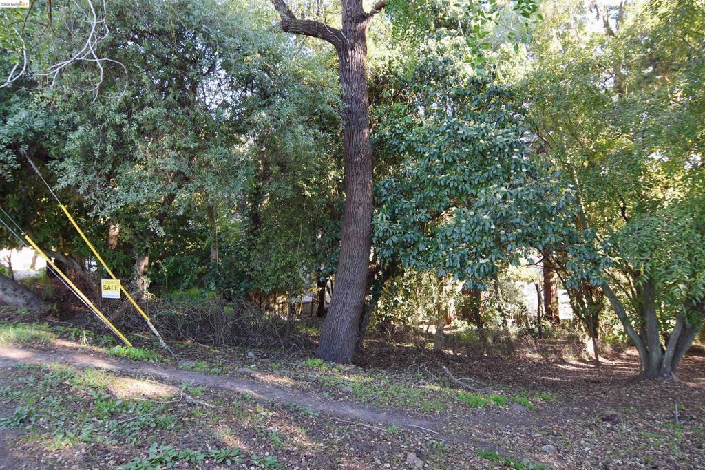 962 Regal Rd