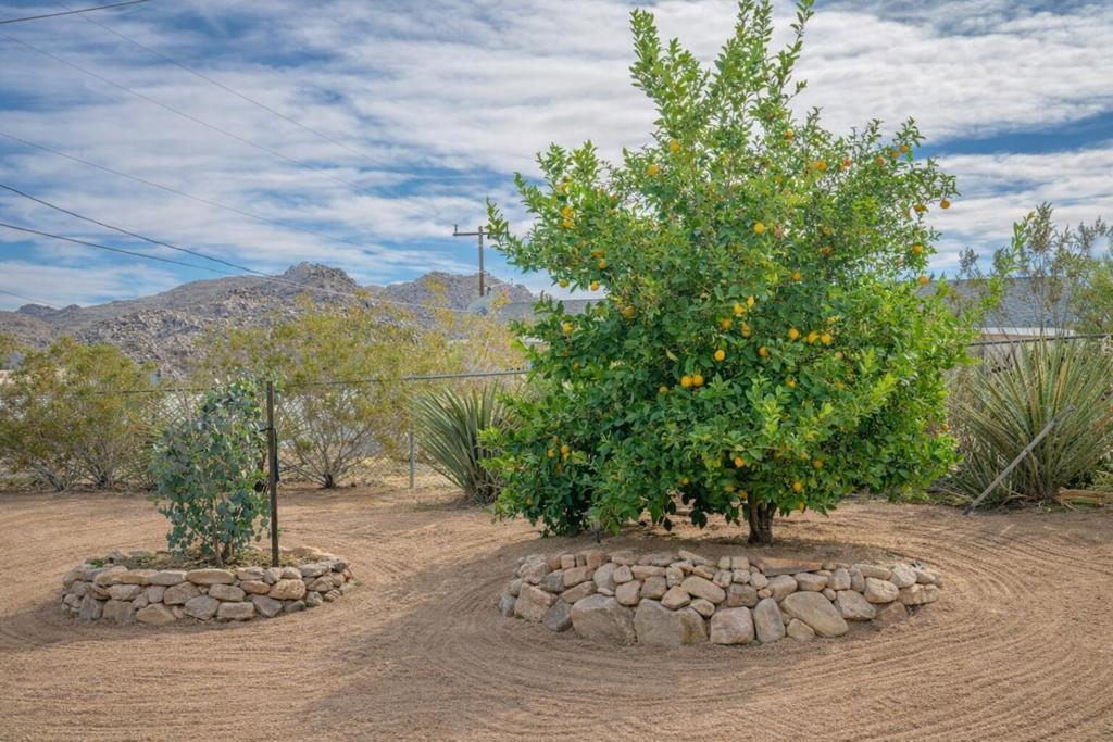 Not Applicable-1 - Residential