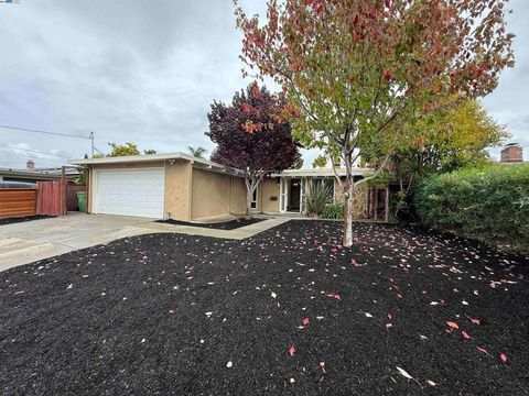 Photo of 24796 Pear St St, Hayward, CA 94545 (MLS # 41115794) Photo of 24796 Pear St St, Hayward, CA 94545 (MLS # 41115794)