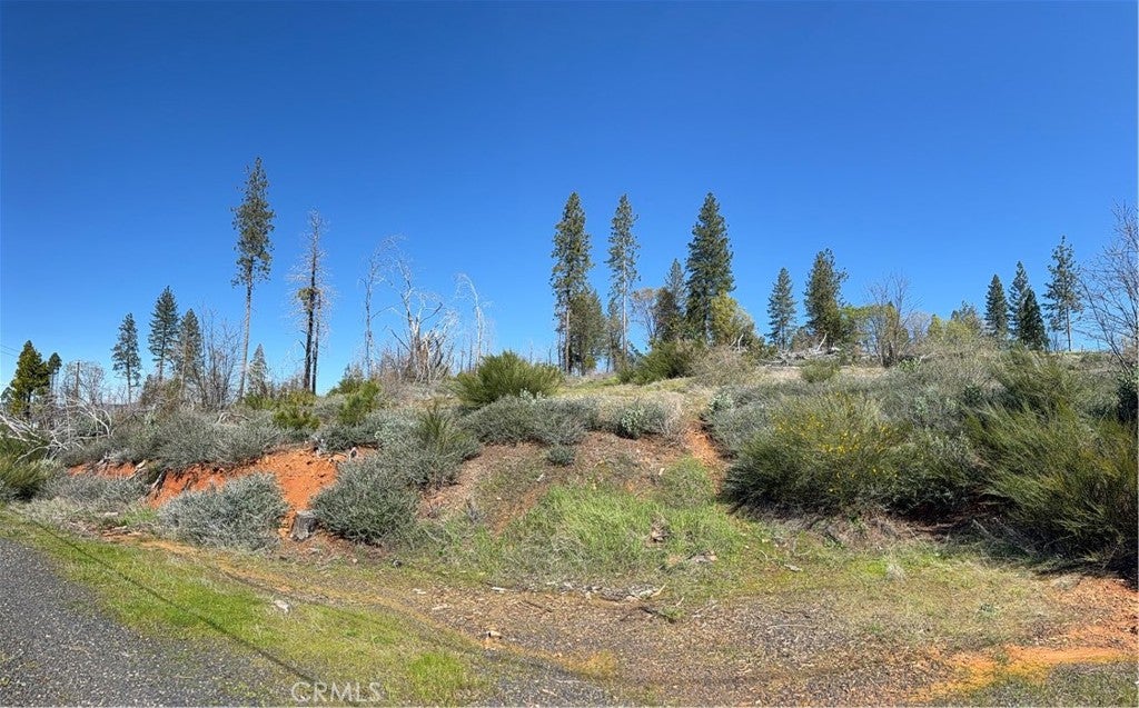 0 Starcrest Lane
