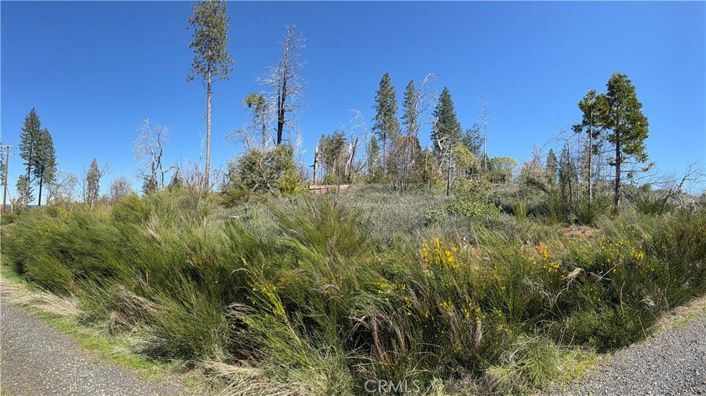 0 Starcrest Lane