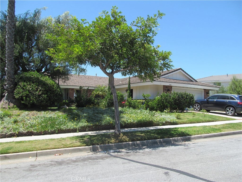 2801 Carob 2801 Carob