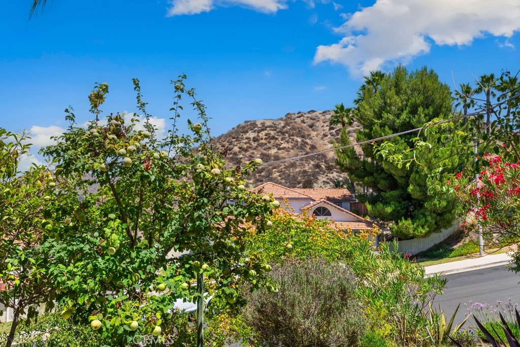34175 Shaded Meadow Cir