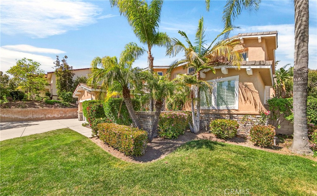 1749 Tamarron Drive