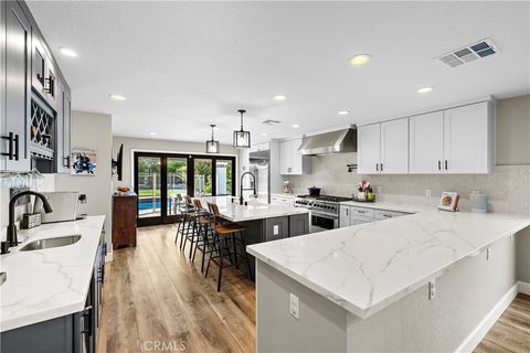 31841 Via Puntero San Juan Capistrano CA 92675
