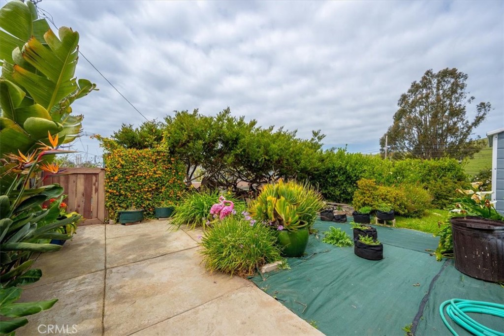 Morro Heights (810) - Residential