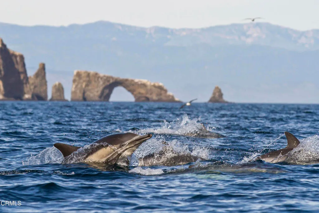 Oxnard, California 93030, United States, 2 Bedrooms Bedrooms, ,2 BathroomsBathrooms,Residential,Active,119899