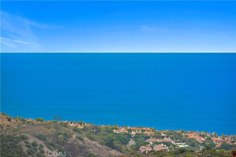 28 Coral Reef Newport Coast CA 92657