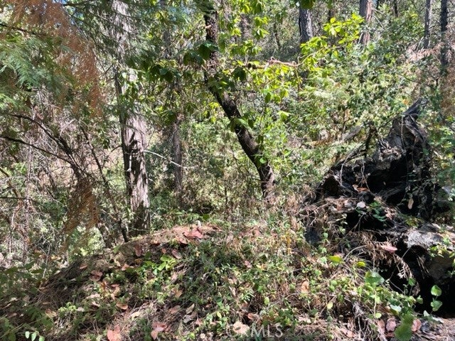 12 Broken Springs