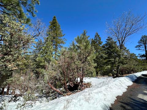 Photo of 0 Big Rock, Idyllwild, CA 92549 (MLS # 219135646DA)