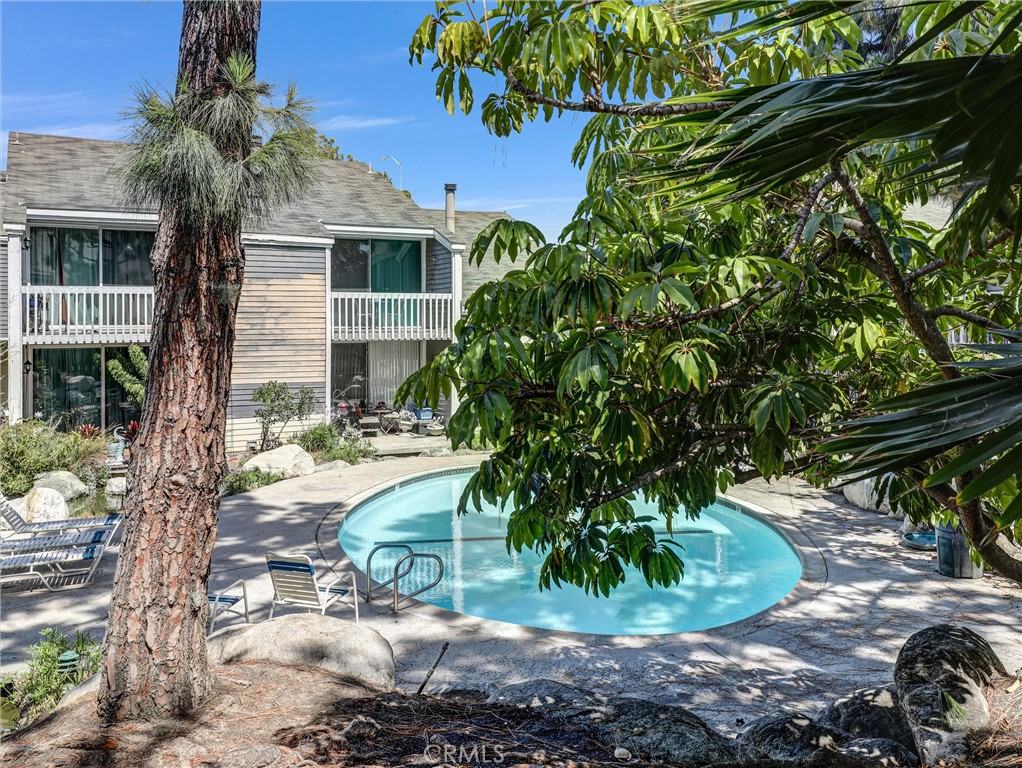25505 Pine Creek Lane
