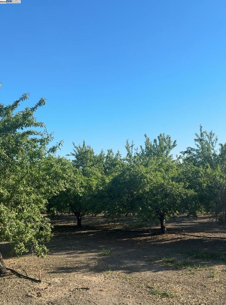 124 Acres of Agricultural Land in Prime Location. Property has three separate parcels. APN 239-260-010 Has 69 Acres of Almon farm & APN 239-260-030 has 22 Acres of Almond farms & APN 239-260-05 has 33 Acres of Almond farm which features a domestic well, agriculture well, and water tank. Electric pole and meter on property. All Parcels are non parreil & Monterey planted in 2014 end. Conveniently located next to I-580, I-5, and HWY 132 in Tracy, CA. Do Not Miss this opportunity to be the owner of a farmland close to Bay Area!