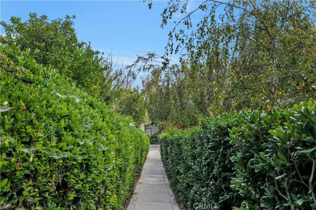 Park Vista (PV) - Residential