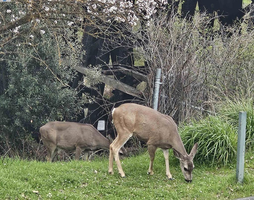 TOWN SQUARE - Residential