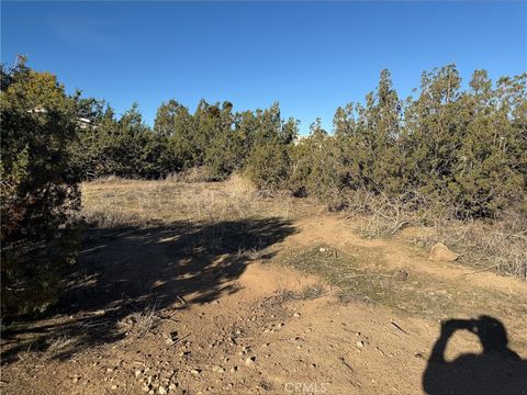 Photo of 0 Neilson Road, Phelan, CA 92371 (MLS # SW25279159)