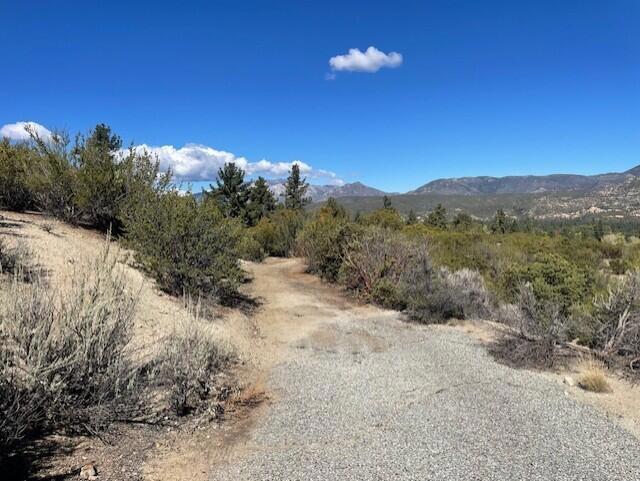 Lot 20 Goldshot Creek Road