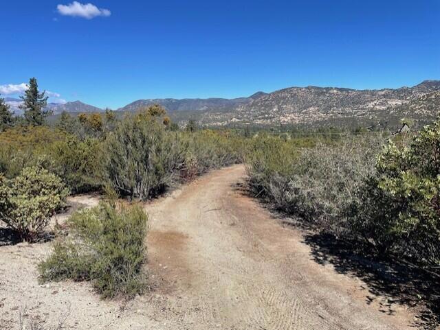 Lot 20 Goldshot Creek Road