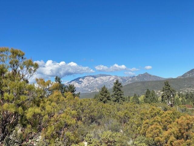 Lot 20 Goldshot Creek Road