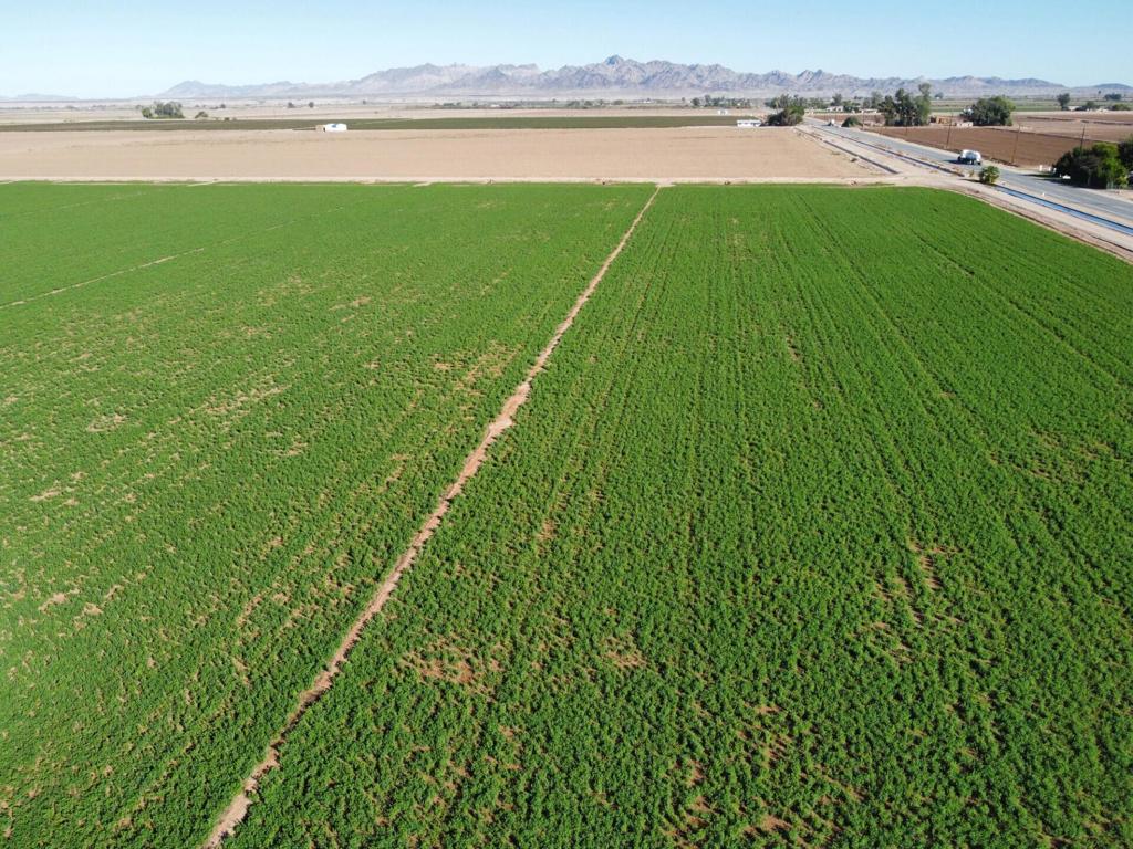 Not Applicable-1 - Land