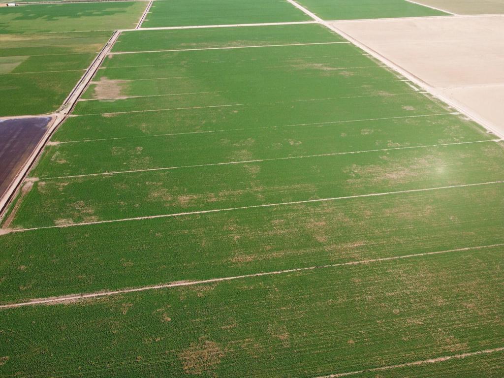 Not Applicable-1 - Land