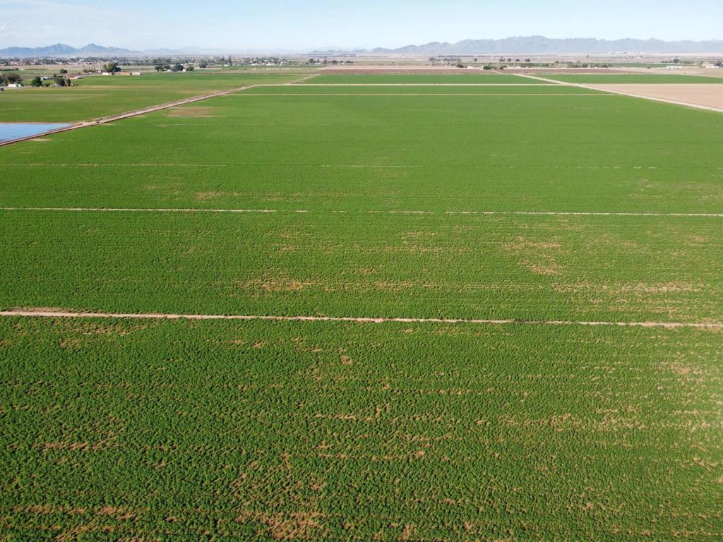 Not Applicable-1 - Land