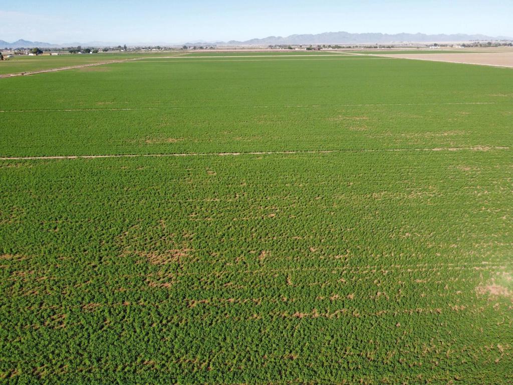 Not Applicable-1 - Land