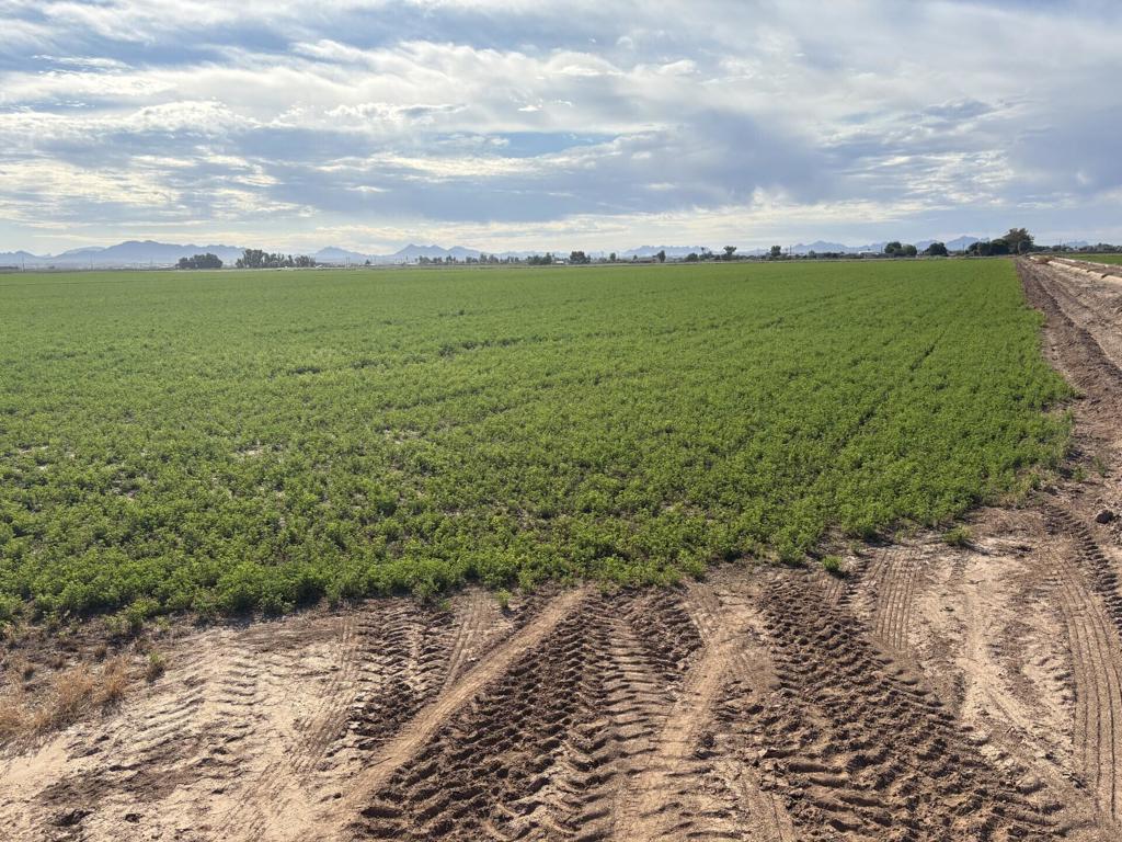 Not Applicable-1 - Land