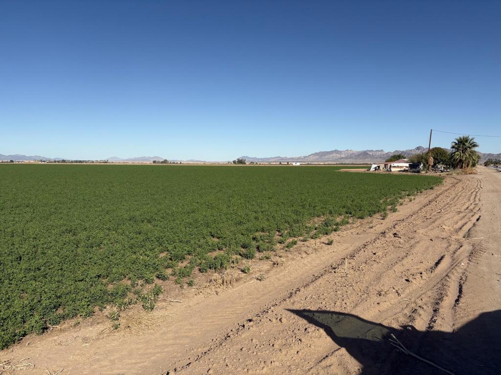 Not Applicable-1 - Land