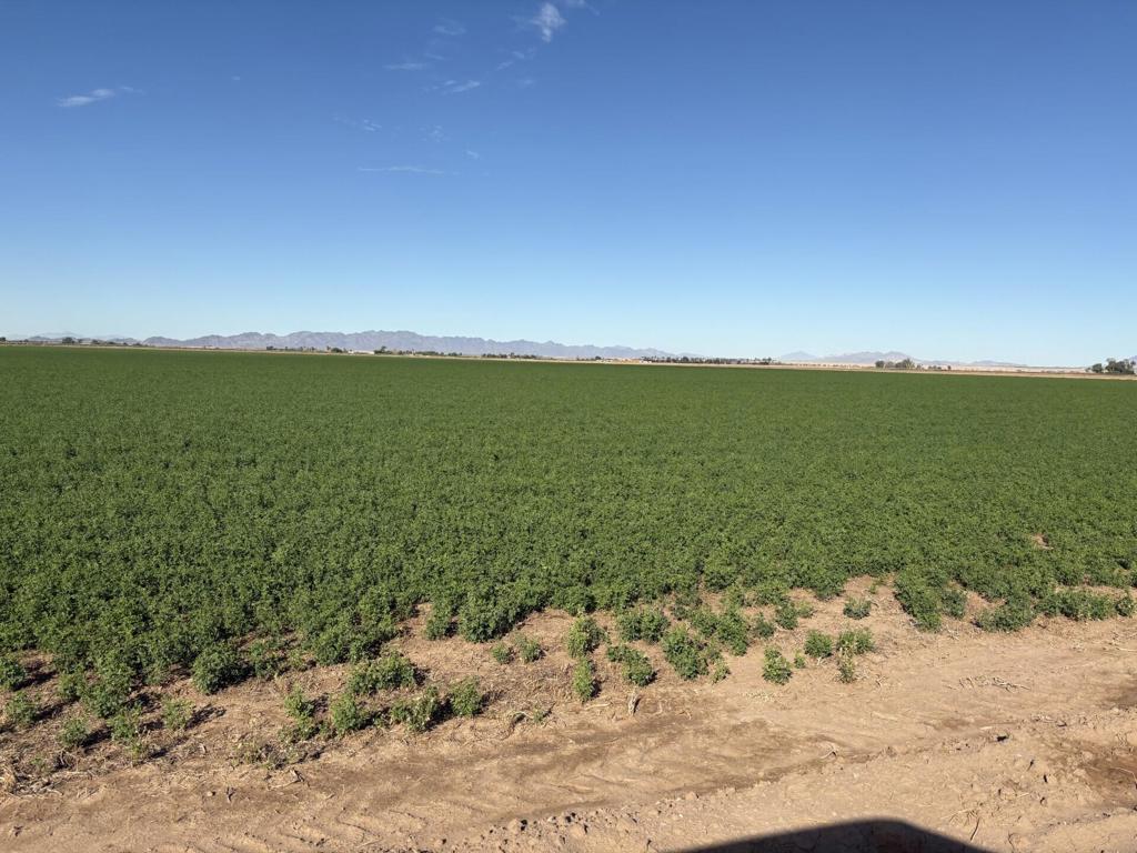 Not Applicable-1 - Land