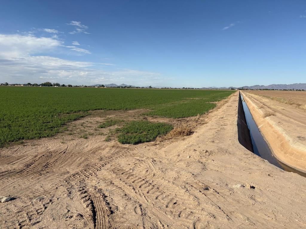 Not Applicable-1 - Land